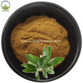 Hot sale Natural bulk olive leaf extract 40%